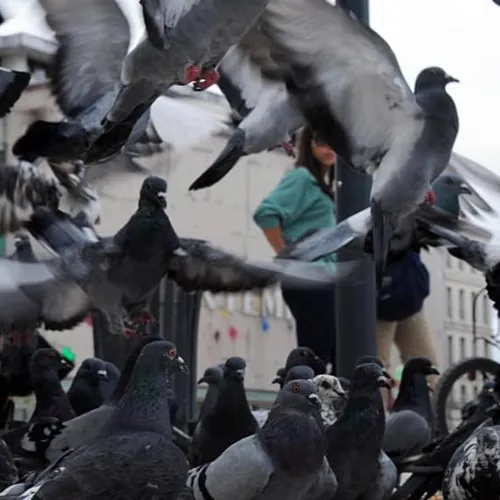 JOURNAL DU JEUDI 15 AVRIL (MATIN)